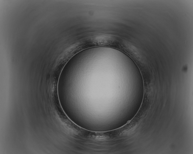 X0000089930645200707061040