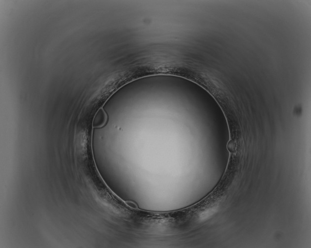 X0000089930646200707061040