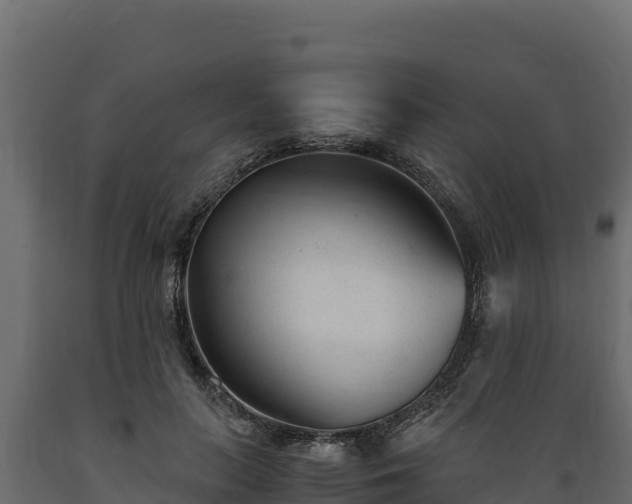 X0000089930647200707061040