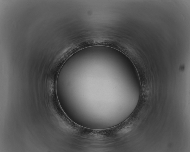 X0000089930648200707061040