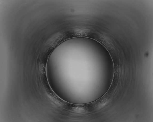 X0000089930649200707061040