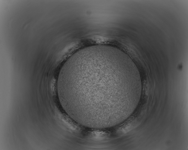 X0000089930650200707061040