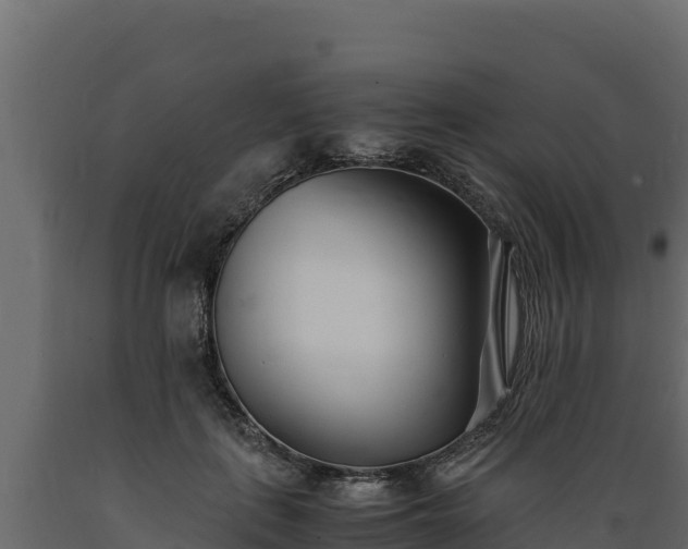 X0000089930651200707061040