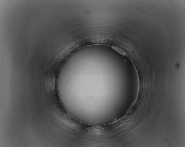 X0000089930652200707061040