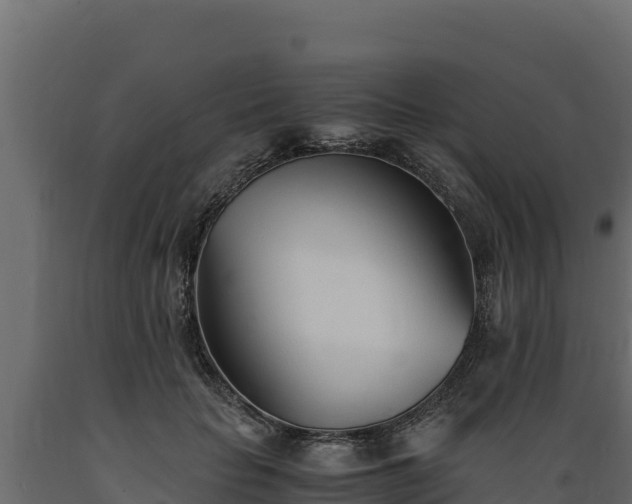 X0000089930653200707061040