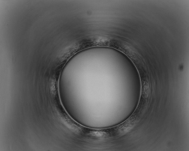 X0000089930654200707061040