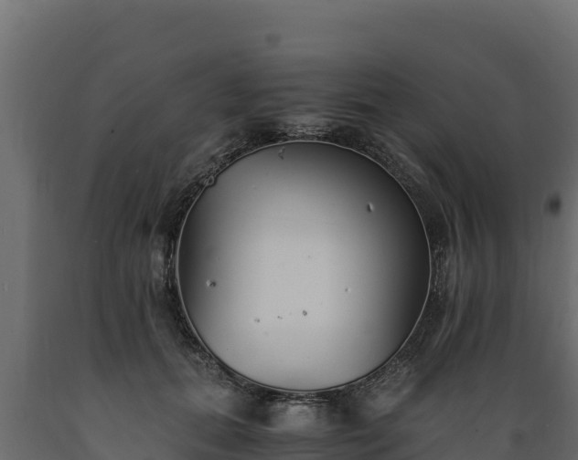 X0000089930655200707061040