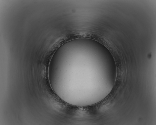 X0000089930656200707061040