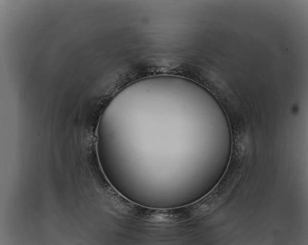 X0000089930657200707061040