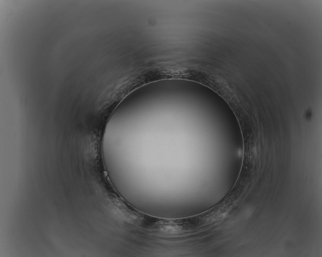 X0000089930658200707061040