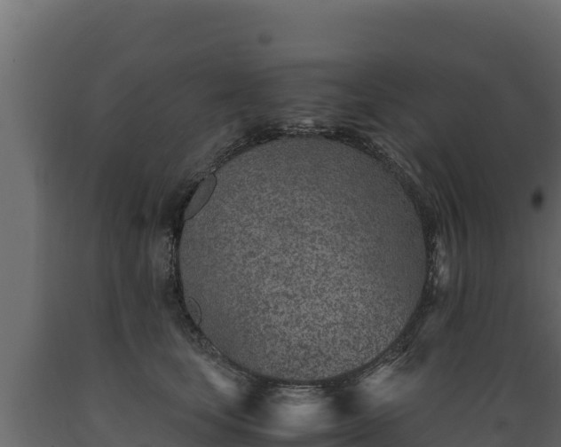 X0000089930659200707061040