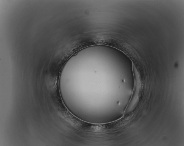 X0000089930660200707061040