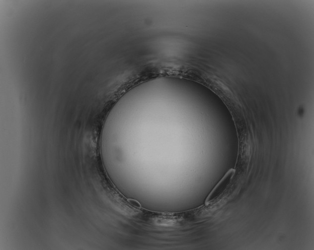 X0000089930661200707061040