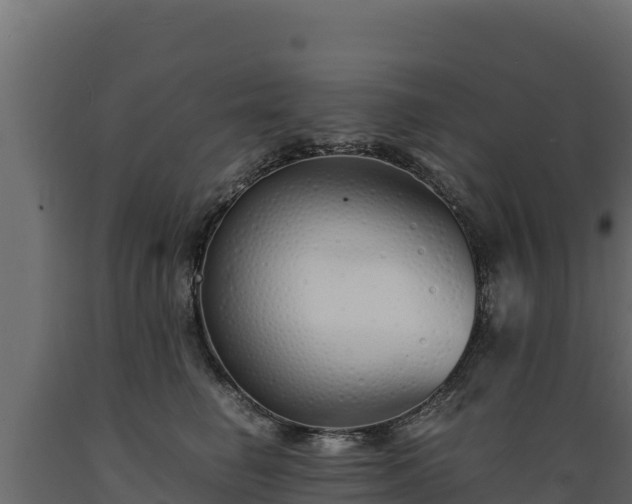 X0000089930662200707061040