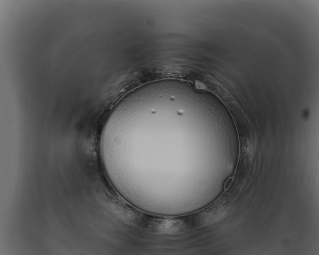 X0000089930663200707061040