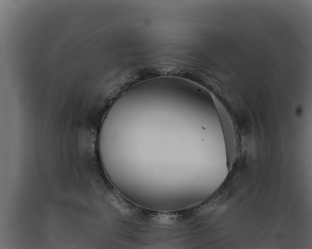 X0000089930664200707061040