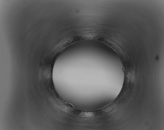 X0000089930665200707061041