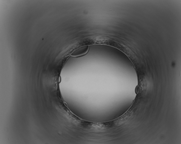 X0000089930666200707061041