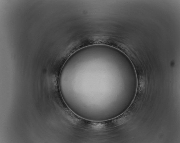 X0000089930667200707061041