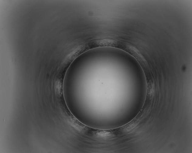 X0000089930669200707061041