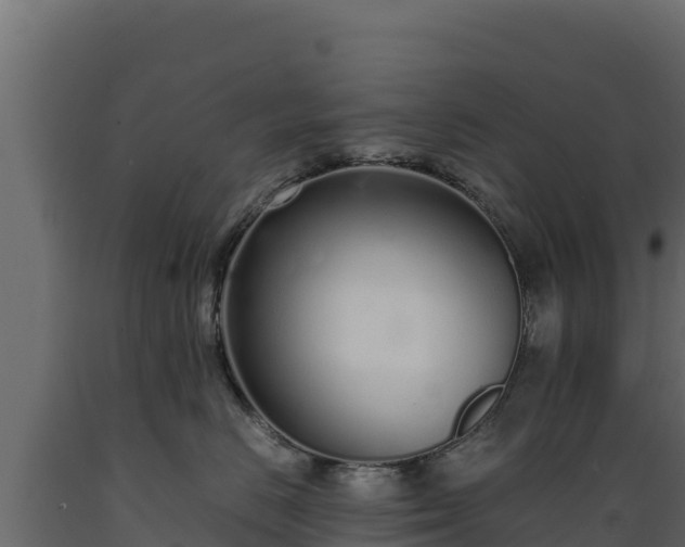 X0000089930670200707061041