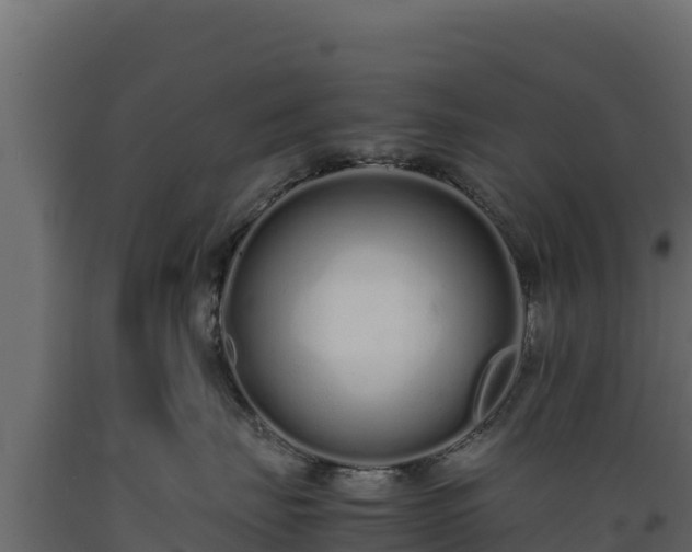 X0000089930671200707061041