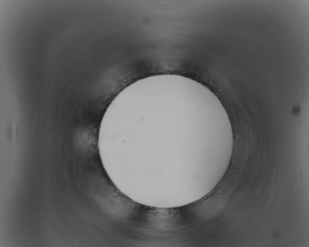 X0000089930672200707061041