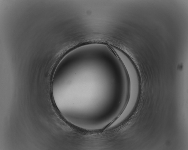 X0000089930673200707061040