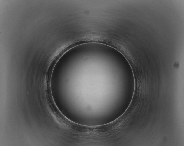 X0000089930674200707061040