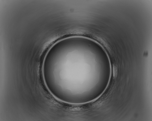 X0000089930675200707061040