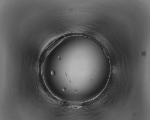 X0000089930676200707061040