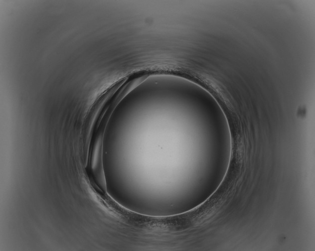 X0000089930677200707061040