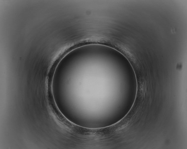 X0000089930678200707061040