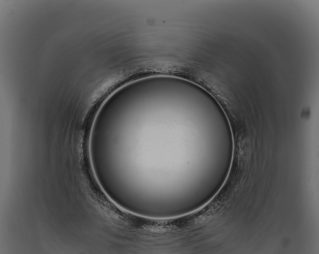 X0000089930679200707061040