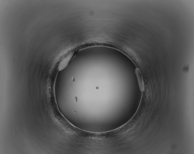 X0000089930680200707061040