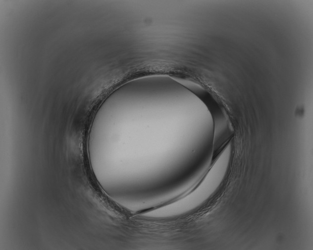 X0000089930681200707061040