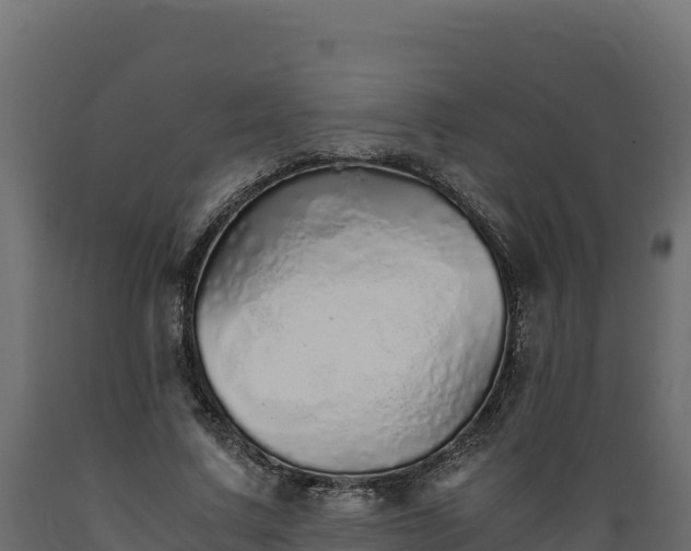 X0000089930683200707061040