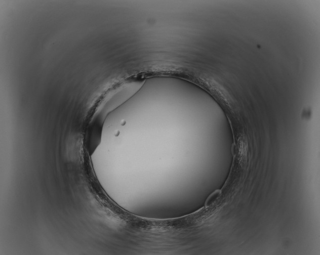 X0000089930684200707061040