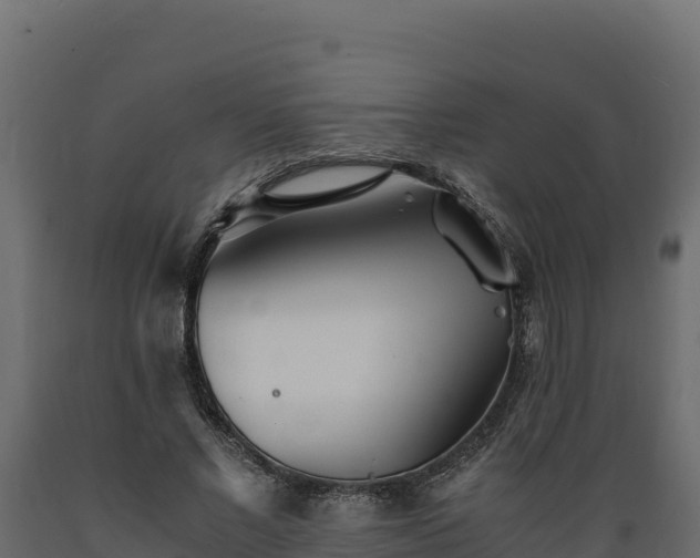 X0000089930685200707061040