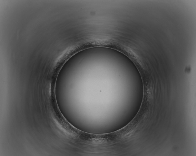 X0000089930686200707061040