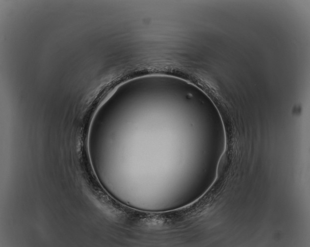 X0000089930687200707061040