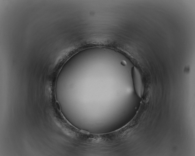 X0000089930688200707061040