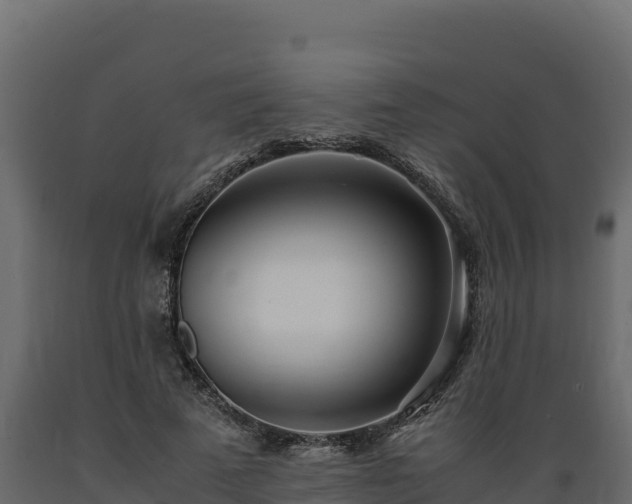 X0000089930689200707061040