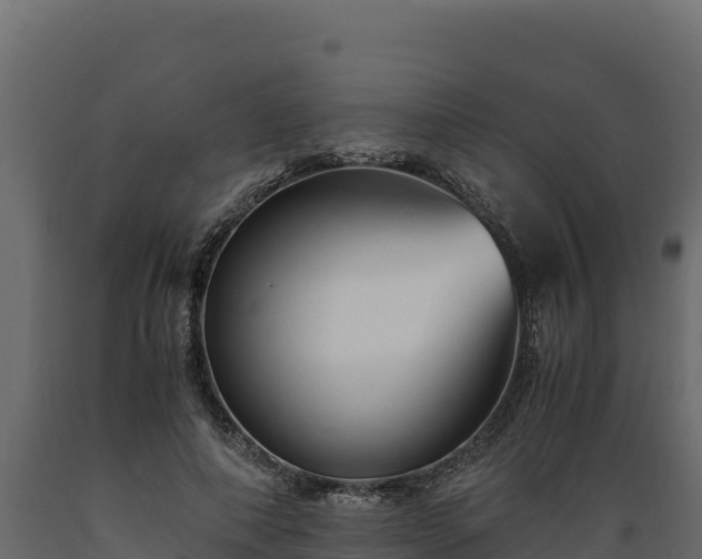 X0000089930690200707061040