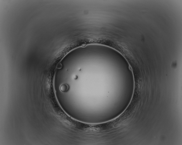 X0000089930691200707061040