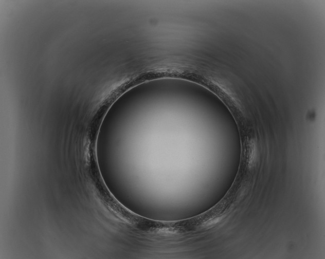 X0000089930692200707061040