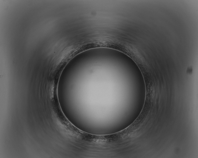 X0000089930694200707061040