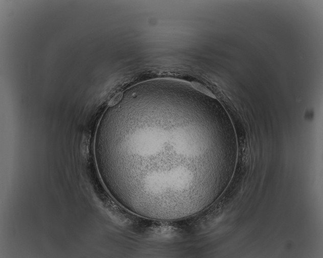 X0000089930695200707061040