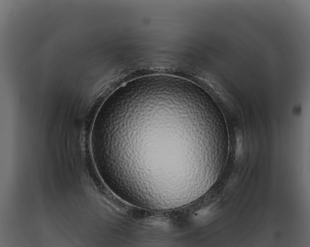 X0000089930696200707061040