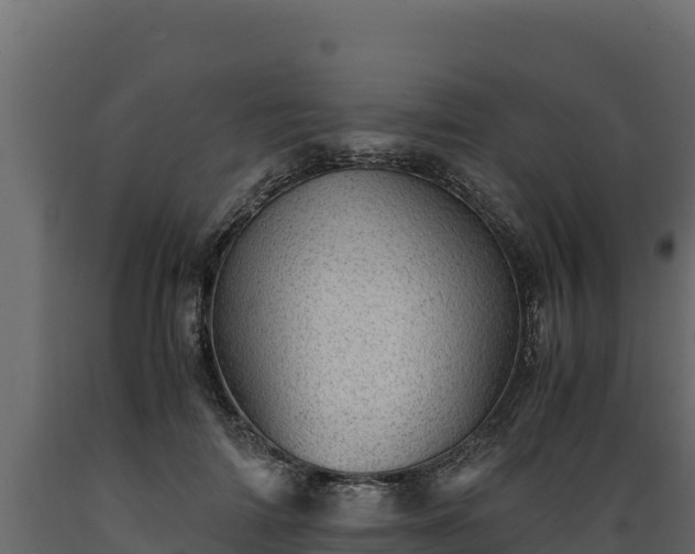 X0000089930698200707061040